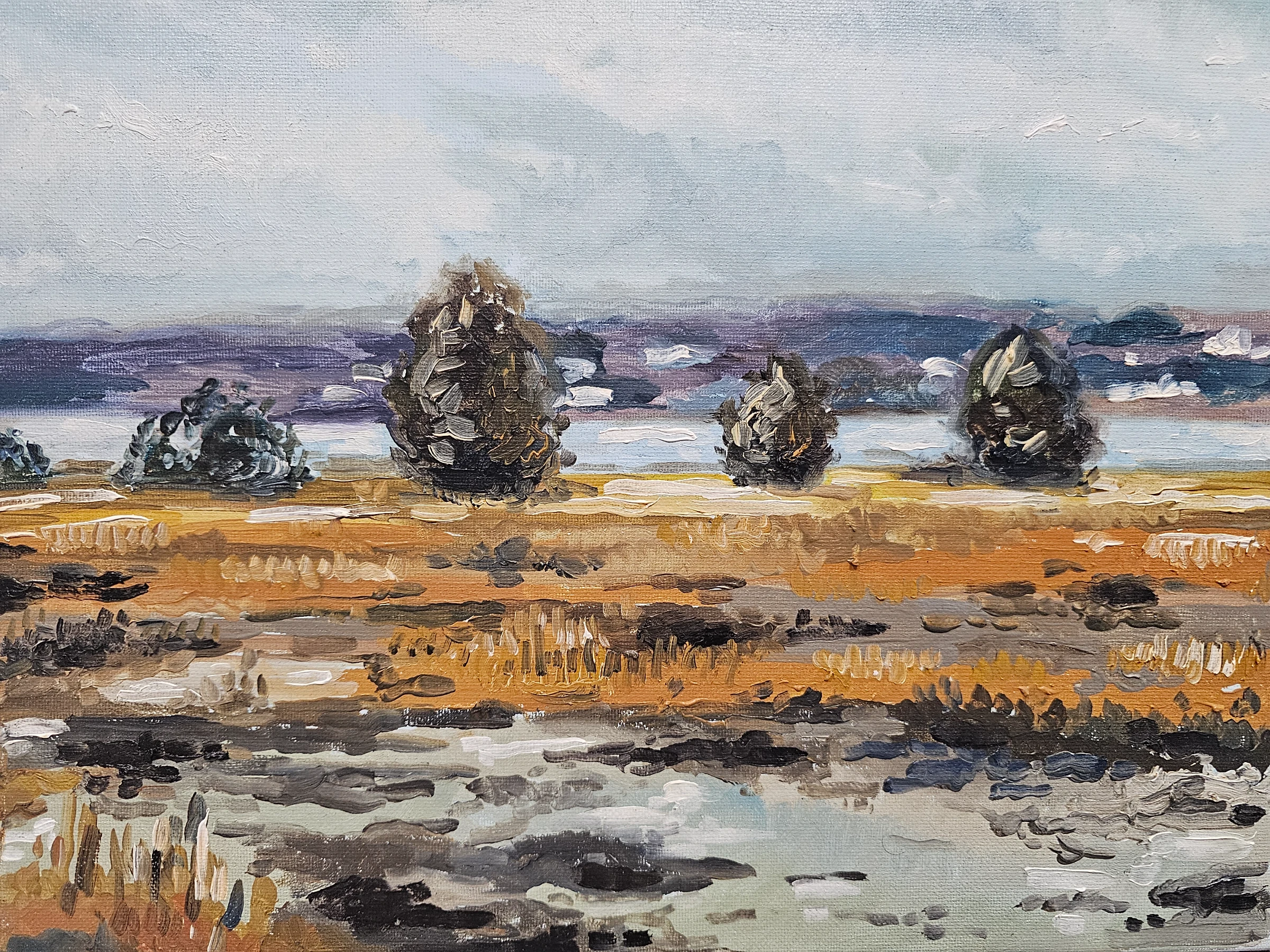 Long Island landscapes